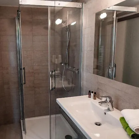 فندق Freyhof فرايبرغ